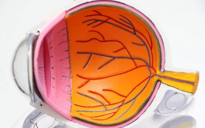 What is a Retinal Detachment and How is it Treated?